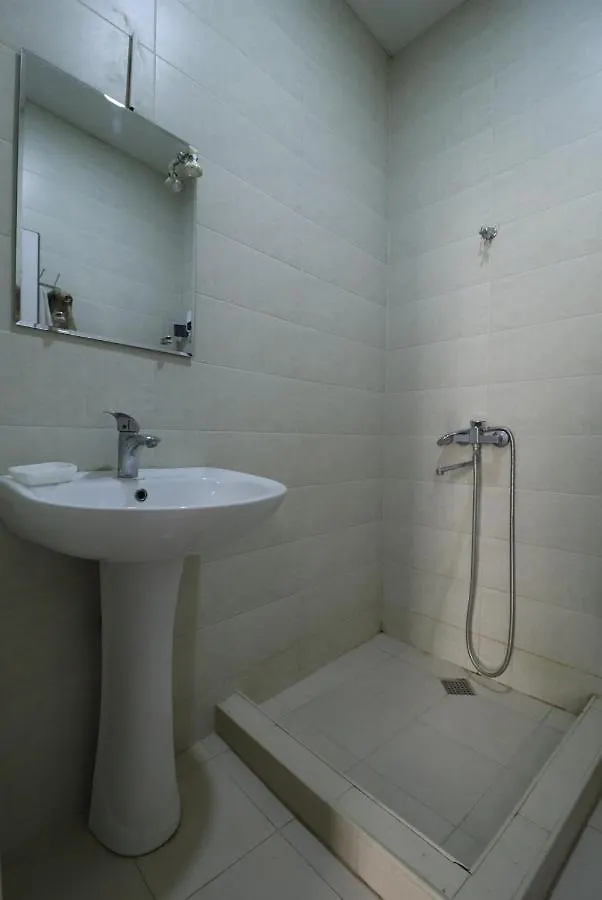 Erekle 8/10 Apartment Tbilisi